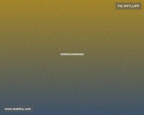 上海少儿围棋赛事,上海少儿围棋赛事有哪些